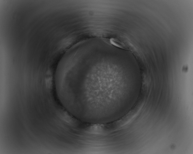 X0000102860080200809021434