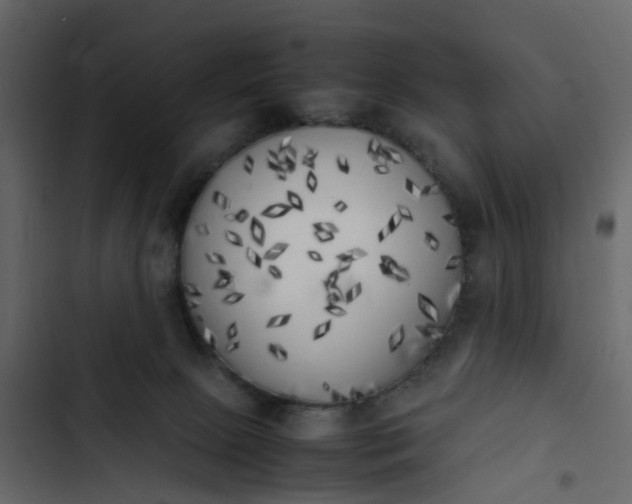 X0000102860081200809021434