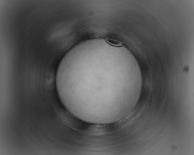 X0000102860082200809021434