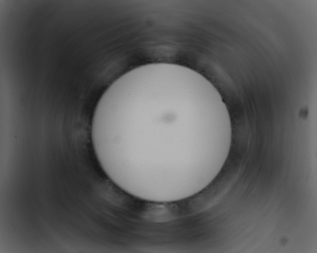 X0000102860083200809021434