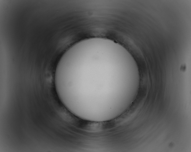 X0000102860084200809021434