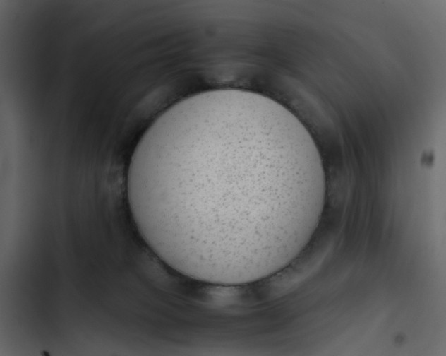 X0000102860085200809021434