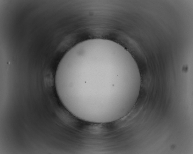 X0000102860086200809021434