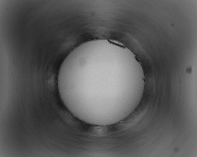 X0000102860088200809021434