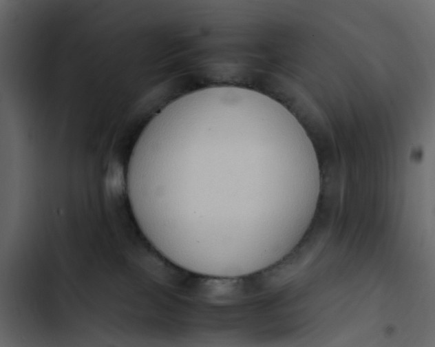 X0000102860089200809021434