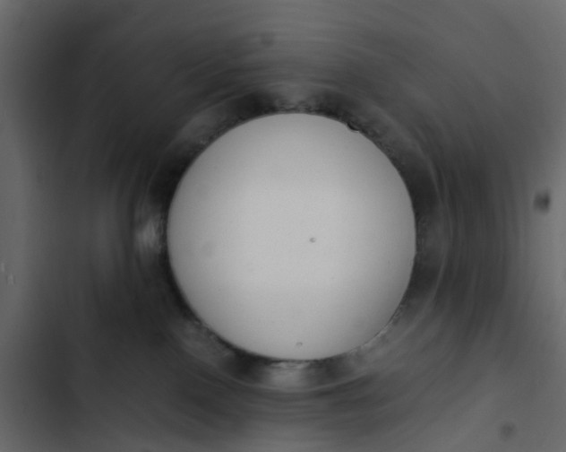 X0000102860090200809021434