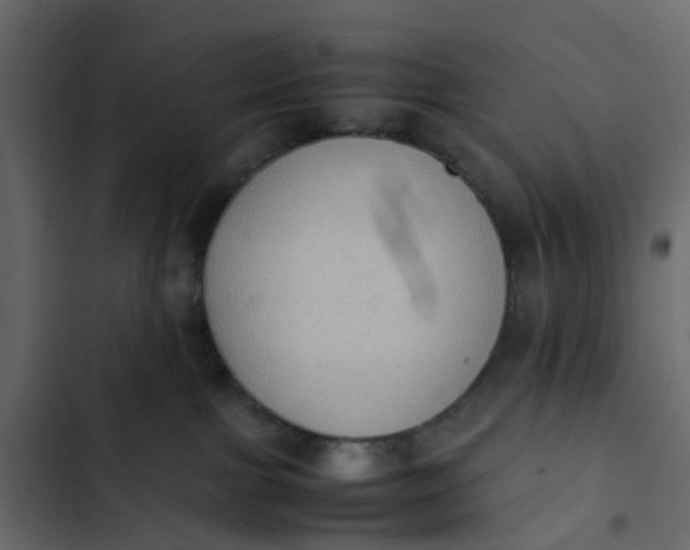 X0000102860091200809021434