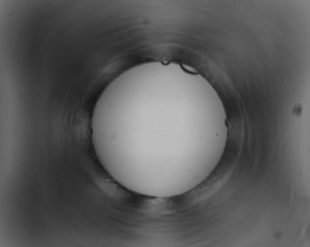 X0000102860092200809021434