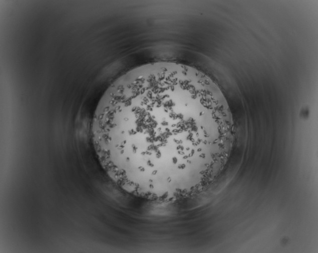 X0000102860093200809021434