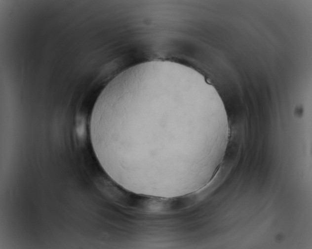 X0000102860094200809021434