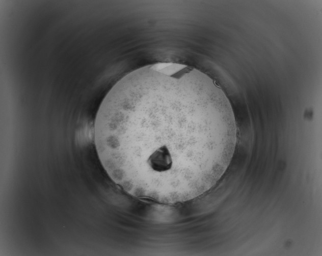 X0000102860095200809021434