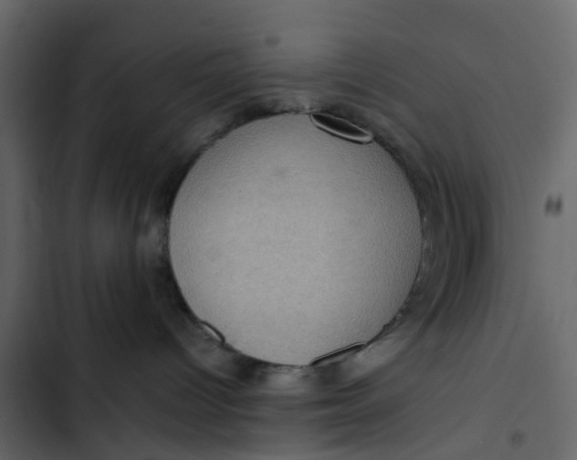 X0000102860096200809021434