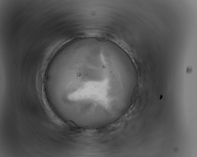 X0000102860097200809021433