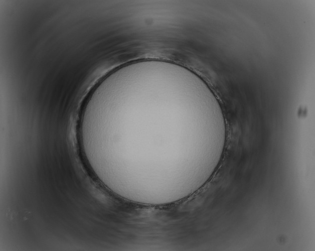 X0000102860098200809021433