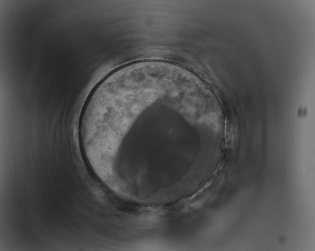 X0000102860099200809021433