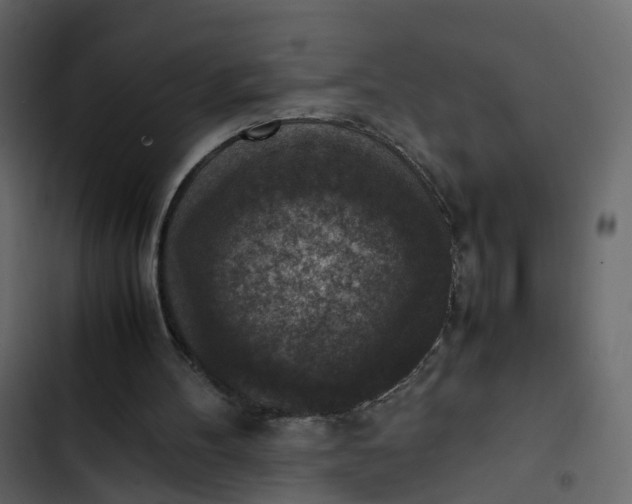 X0000102860100200809021433