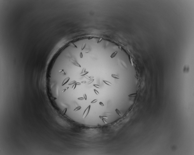 X0000102860102200809021433