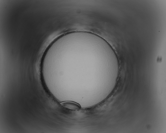 X0000102860103200809021433