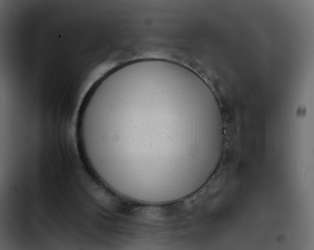 X0000102860104200809021433