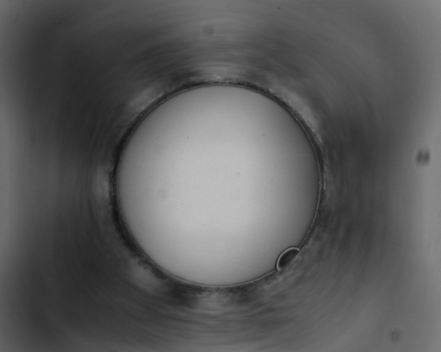 X0000102860105200809021433