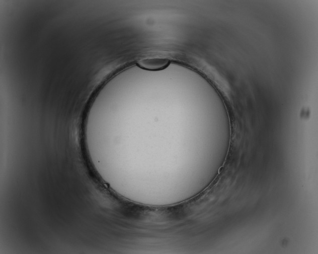 X0000102860107200809021433