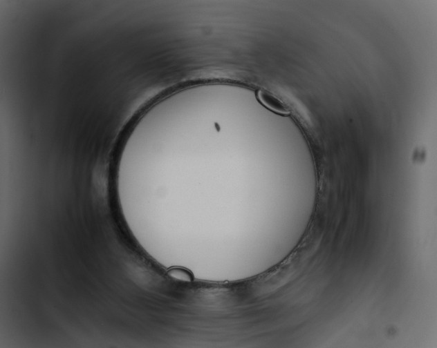 X0000102860108200809021433