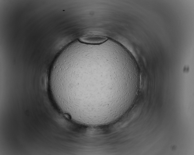 X0000102860109200809021433