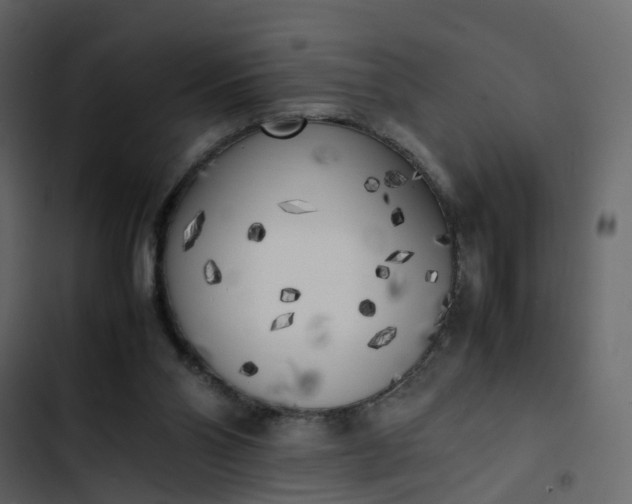 X0000102860110200809021433