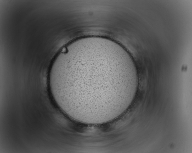 X0000102860111200809021433