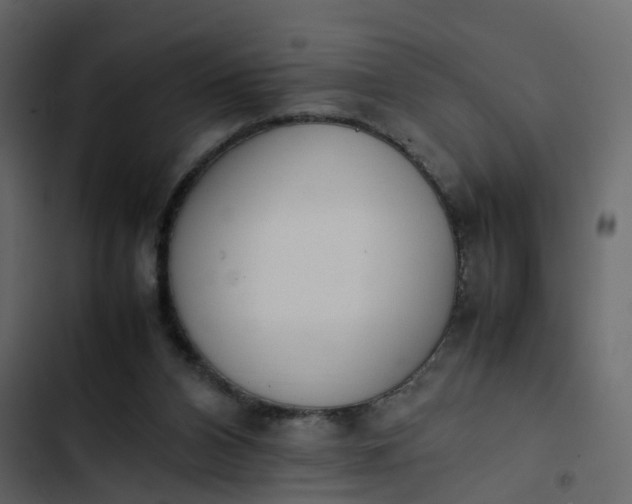 X0000102860112200809021433