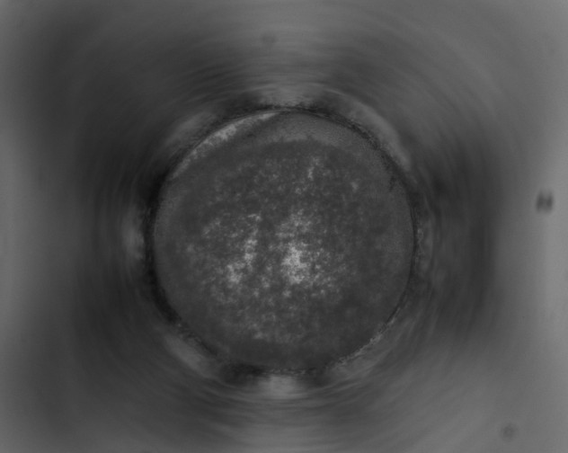 X0000102860114200809021433