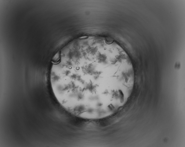 X0000102860115200809021433