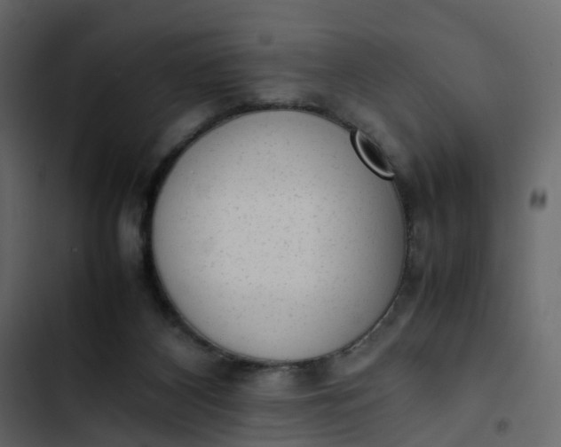 X0000102860116200809021433