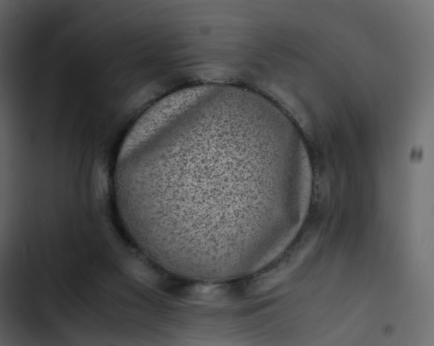 X0000102860117200809021433