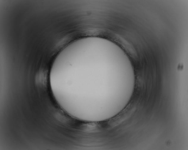 X0000102860118200809021433