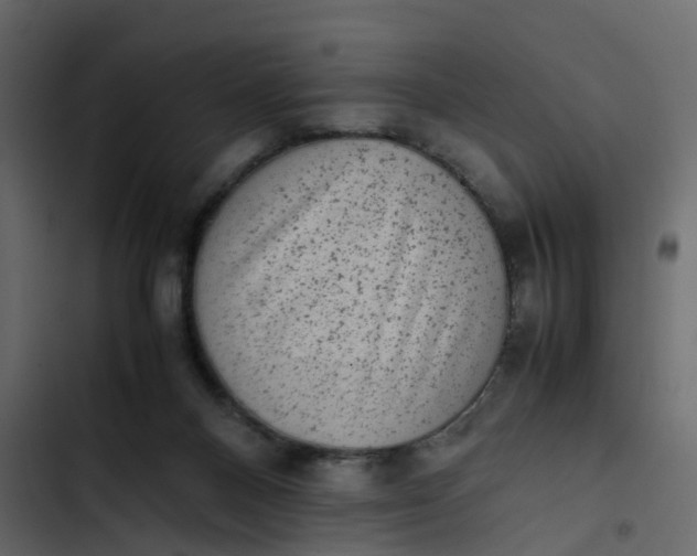 X0000102860120200809021433