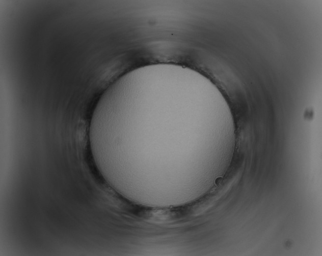 X0000102860121200809021433