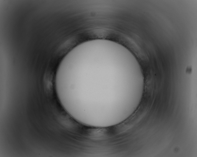 X0000102860122200809021433