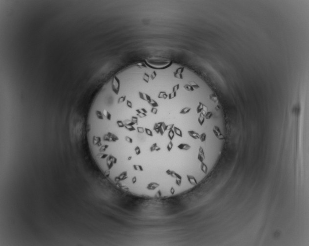 X0000102860123200809021433