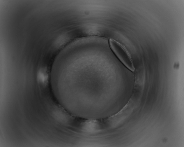 X0000102860124200809021433