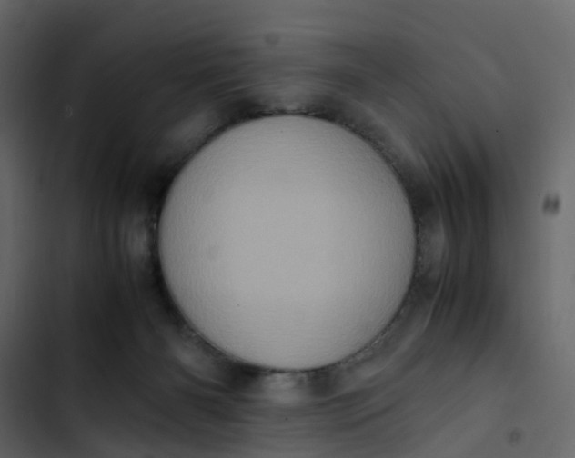 X0000102860126200809021433