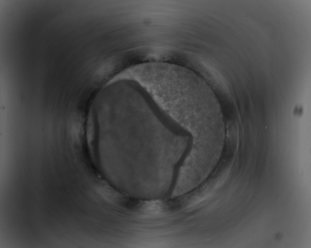 X0000102860127200809021433