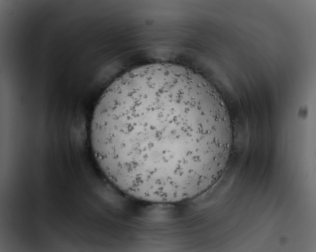 X0000102860128200809021433