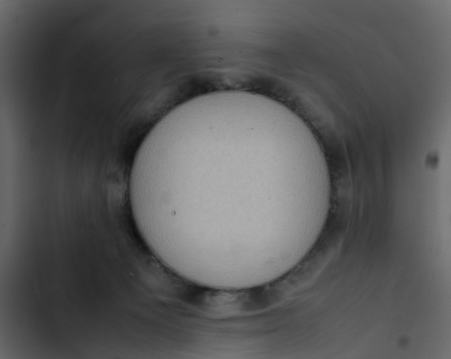 X0000102860129200809021433