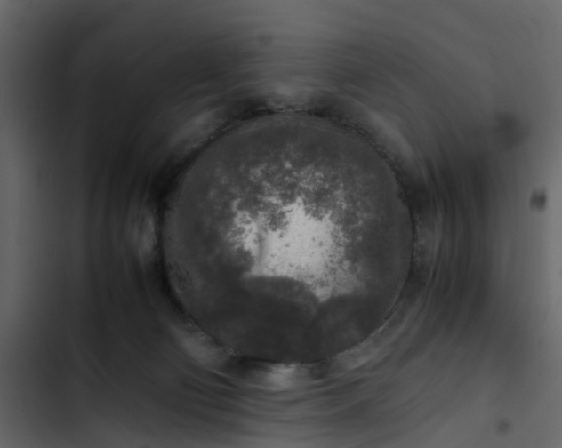 X0000102860130200809021433