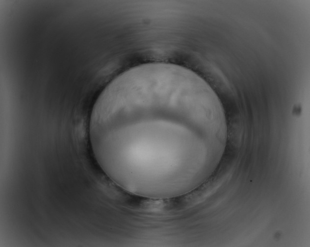 X0000102860131200809021433