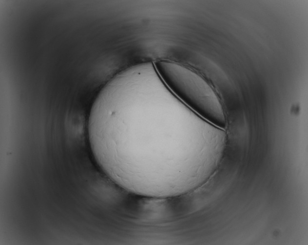 X0000102860132200809021433