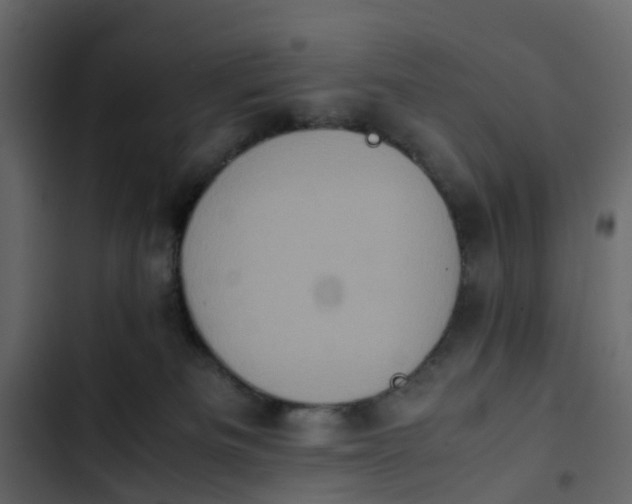 X0000102860133200809021433