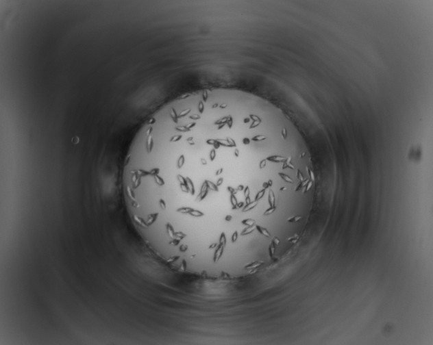 X0000102860134200809021433