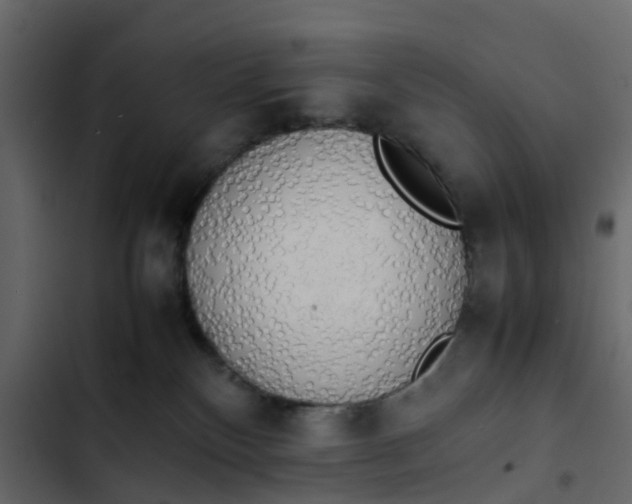 X0000102860136200809021433